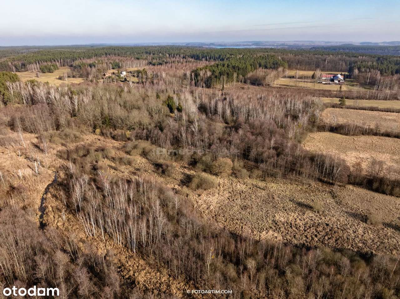 DUŻA DZIAŁKA ROLNO-LEŚNA - Pełny obrazek: 5/6