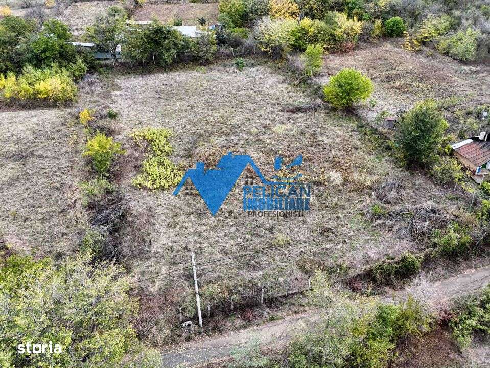 Teren intravilan NICULITEL, zona deosebita, 3044MP-13