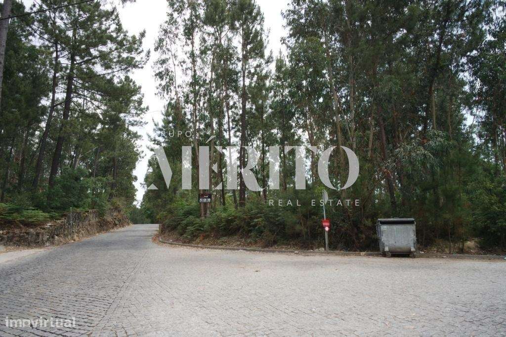 Terreno plano com 11.000m2 de construção - Grande imagem: 4/4