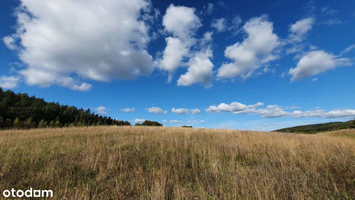 Piękna działka z "oczkiem", w sąsiedztwie zabudowa-11