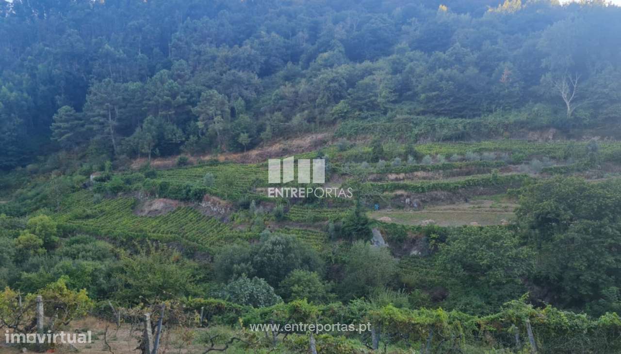 Venda de Terreno, Viariz Baião - Grande imagem: 2/17