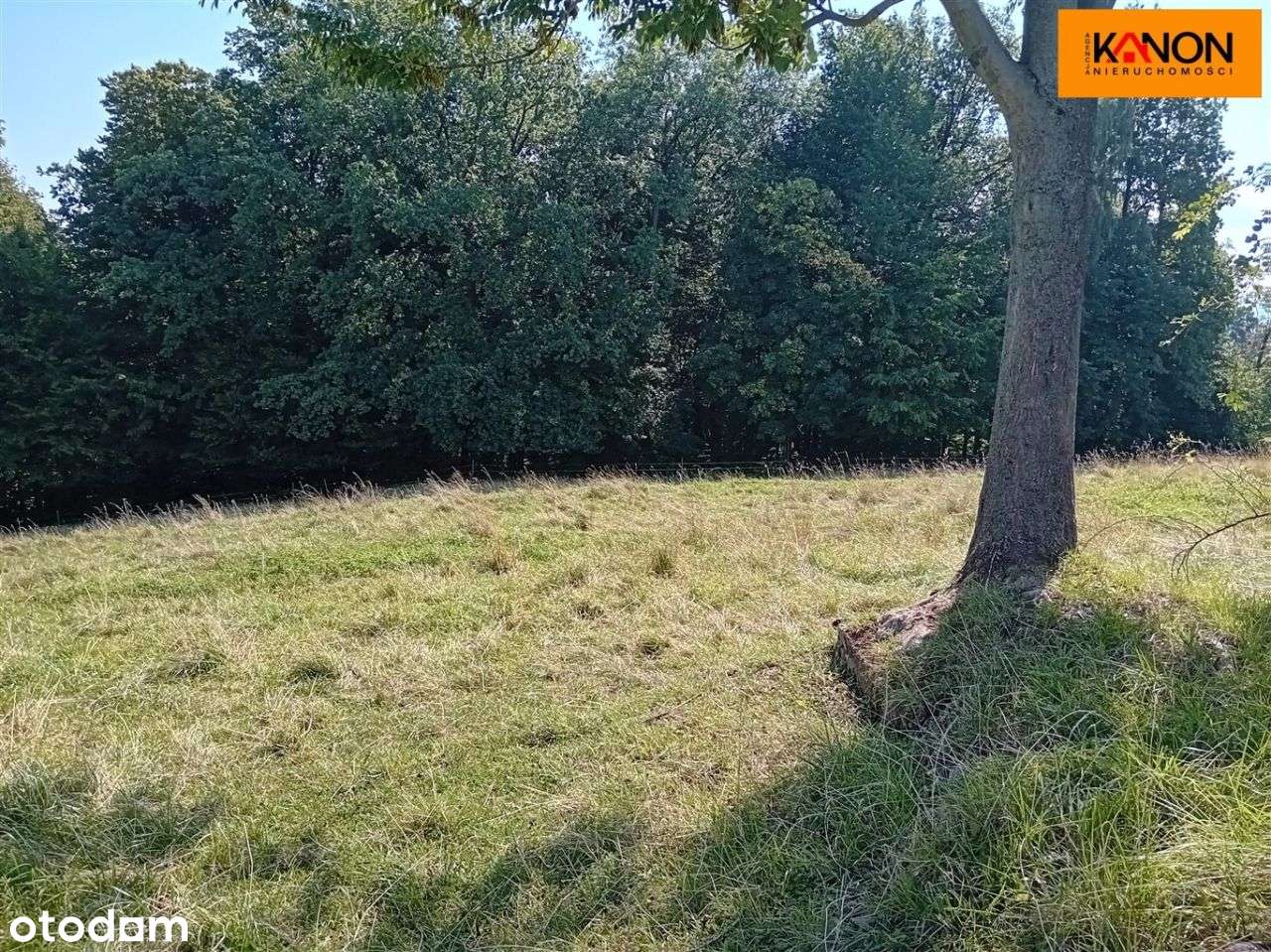 Działka, 3 700 m², Roztropice-14