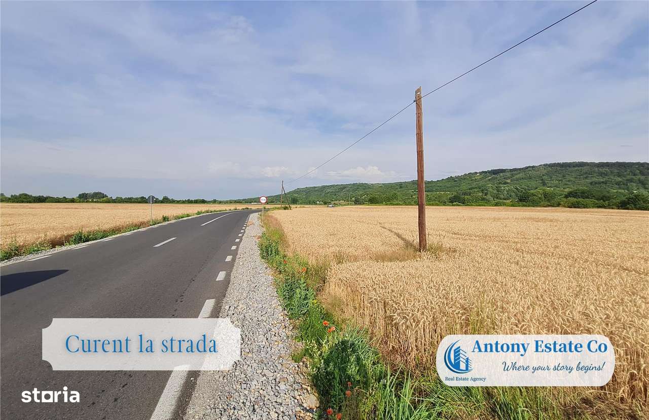 Teren intravilan, de vanzare - Fughiu, Bihor - Imagine principală: 3/4