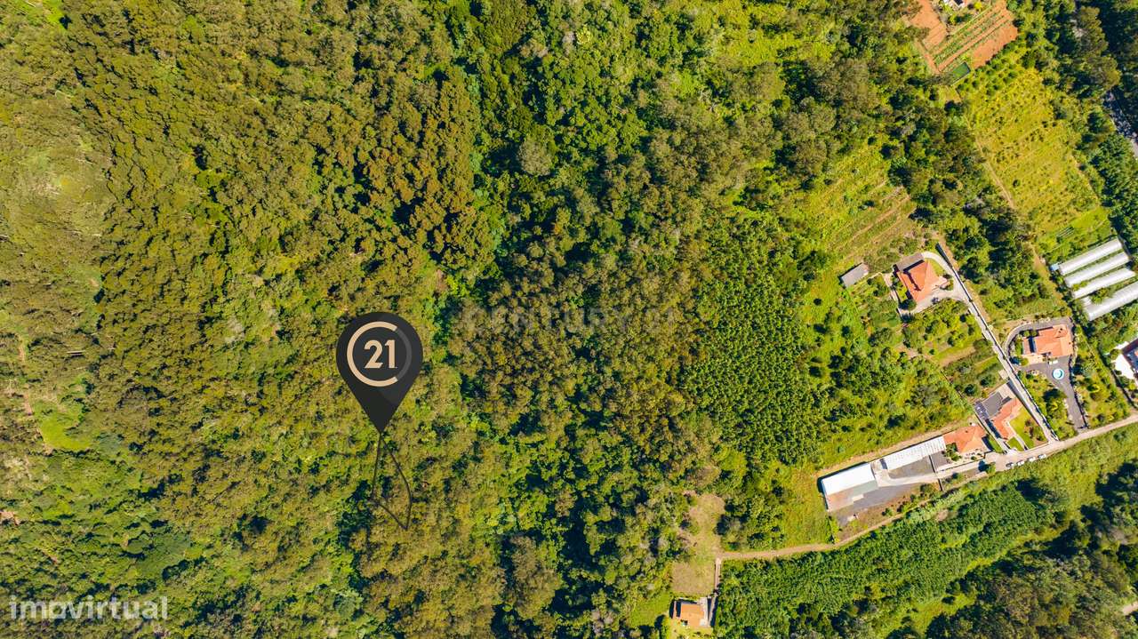 Terreno Rústico para Floresta Mista com 3.265 m2 - Santa Cruz, Madeira - Grande imagem: 2/12
