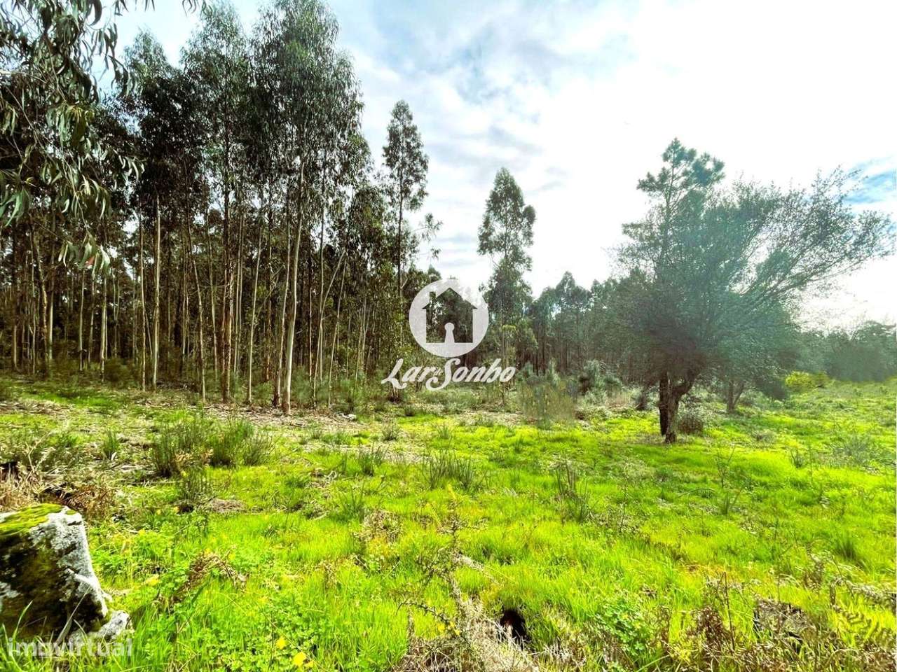 Terreno para construção em Barcelos - Grande imagem: 2/23