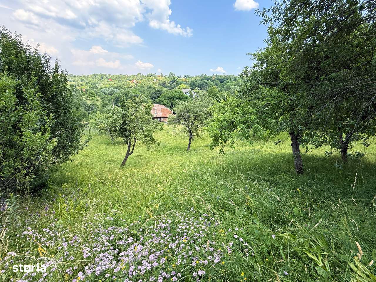 Teren intravilan 2330 mp, comuna Bran, sat Sohodol-1