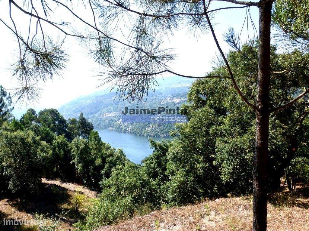 Quinta mini e Ruína, ampla vista rio Douro. Portugal, Norte, Porto,...-8