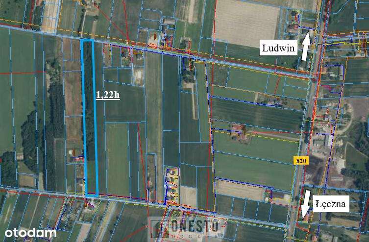 Działka 1,22ha rolno budowlana + usługi, INWESTYCJA, Łęczna - Pełny obrazek: 5/7