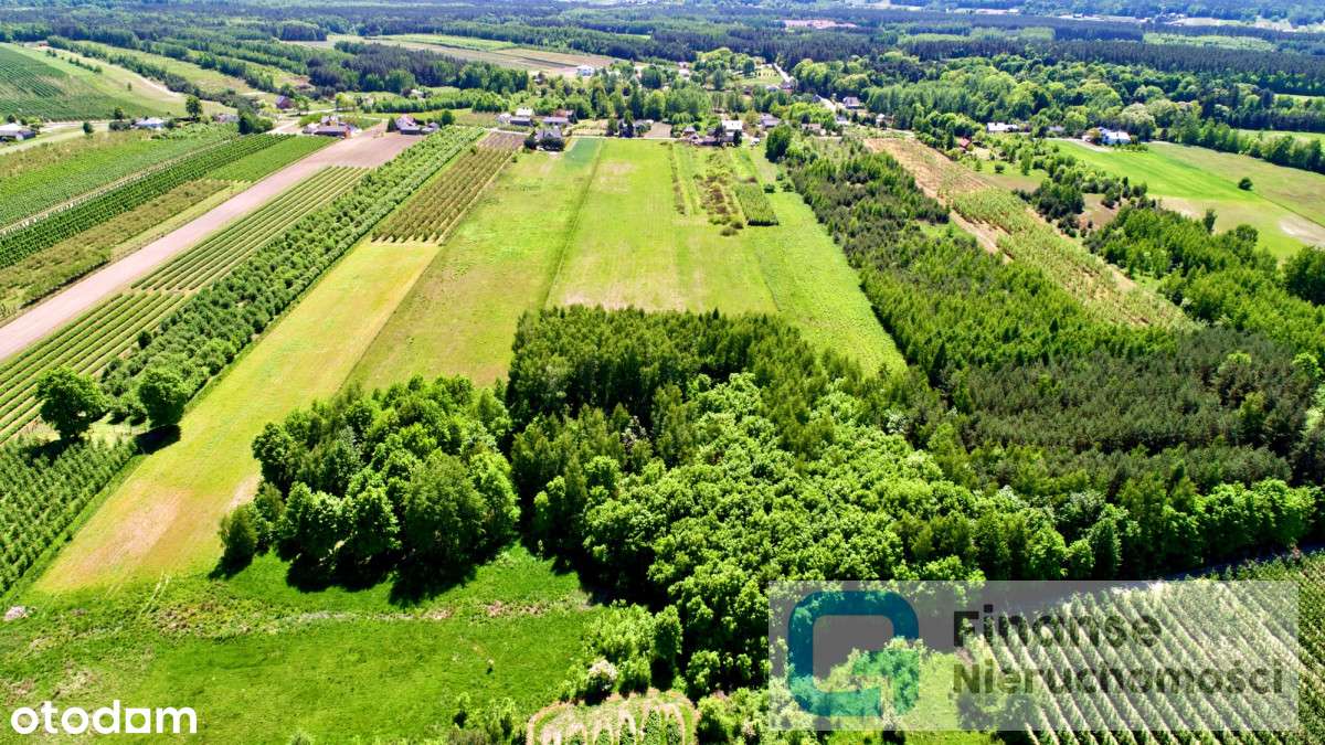 Kompleks działek w malowniczej wsi Ossa - Pełny obrazek: 5/13