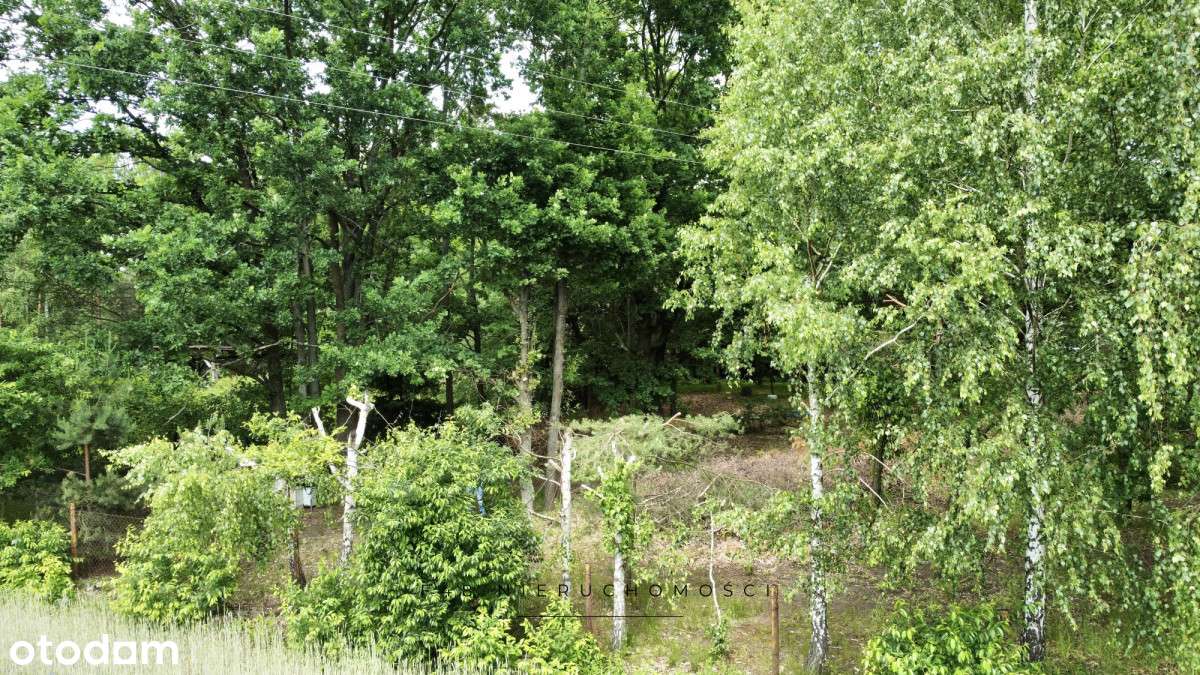 Malownicza działka nad rzeką Bug-6