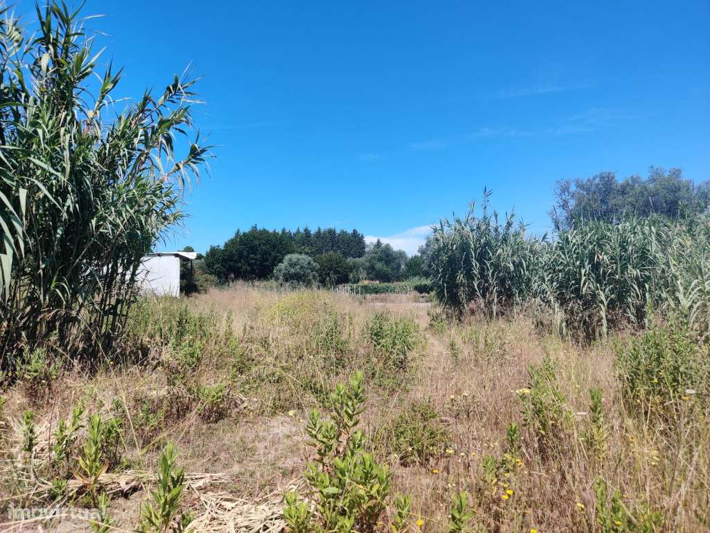 Terreno com viabilidade de construção, Coimbra, Antuzede e Vil de Mato - Grande imagem: 3/11