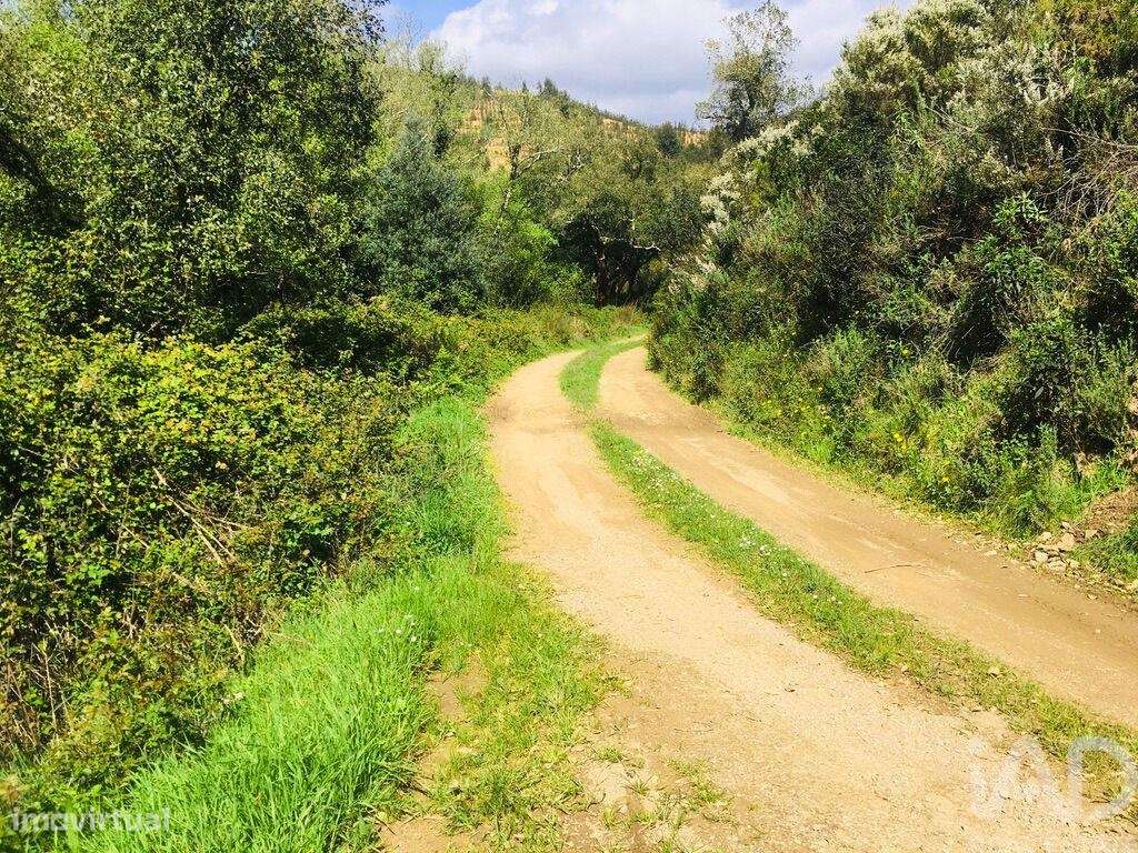 Terreno para construção T2 em Marmelete de 65160,00 m2 - Grande imagem: 5/30