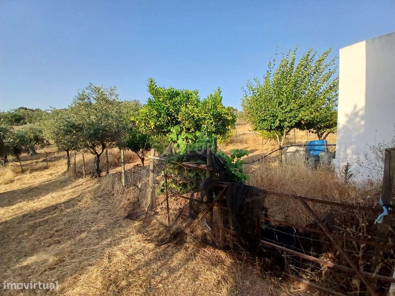 Terreno em São Romão, Ciladas - Grande imagem: 5/15