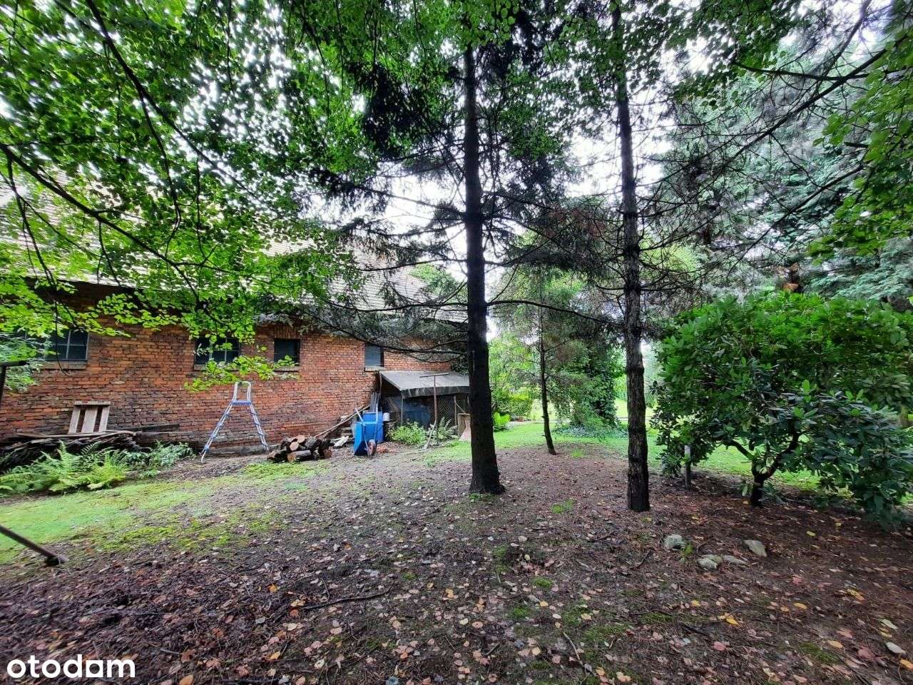 Działka wraz z budynkiem wolnostojącym (155m2) na Zasolu - Pełny obrazek: 5/11