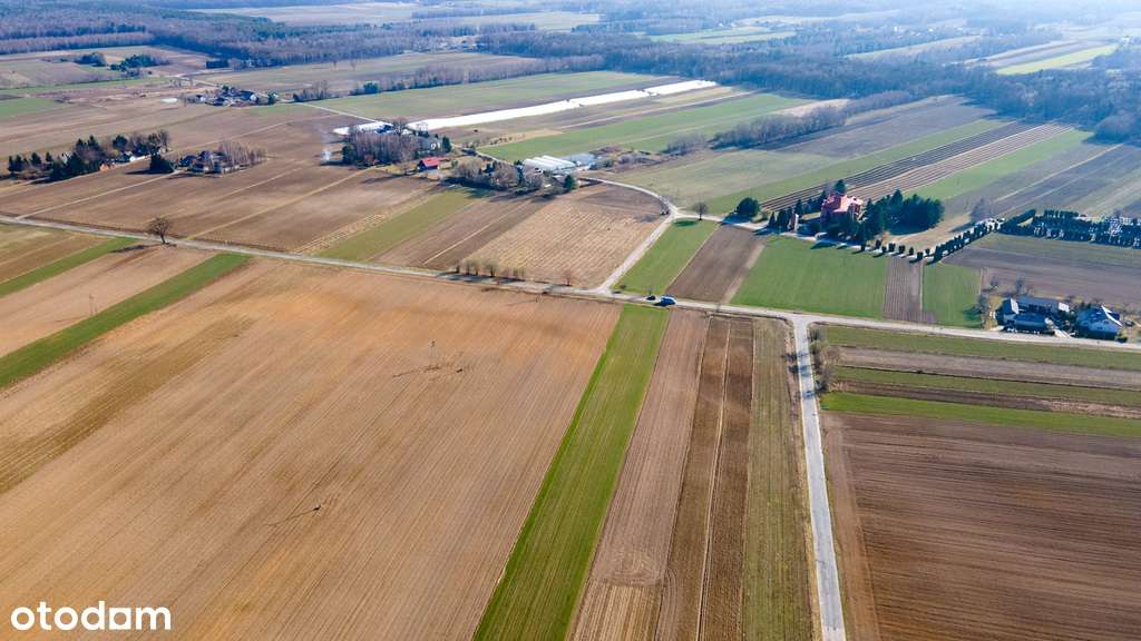 Malownicza działka Grabówki - gmina Wąwolnica - Pełny obrazek: 5/12
