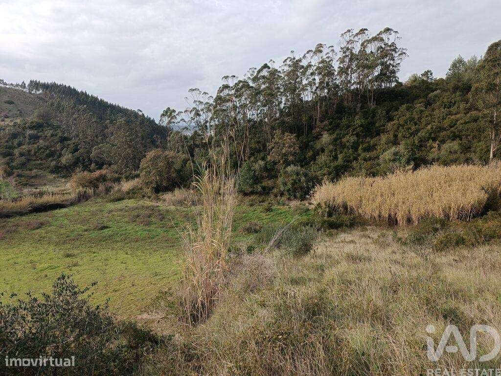 Terreno em Vila Verde dos Francos de 2520,00 m2 - Grande imagem: 4/8