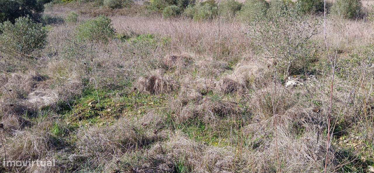 Terreno Rústico - Grande imagem: 5/9