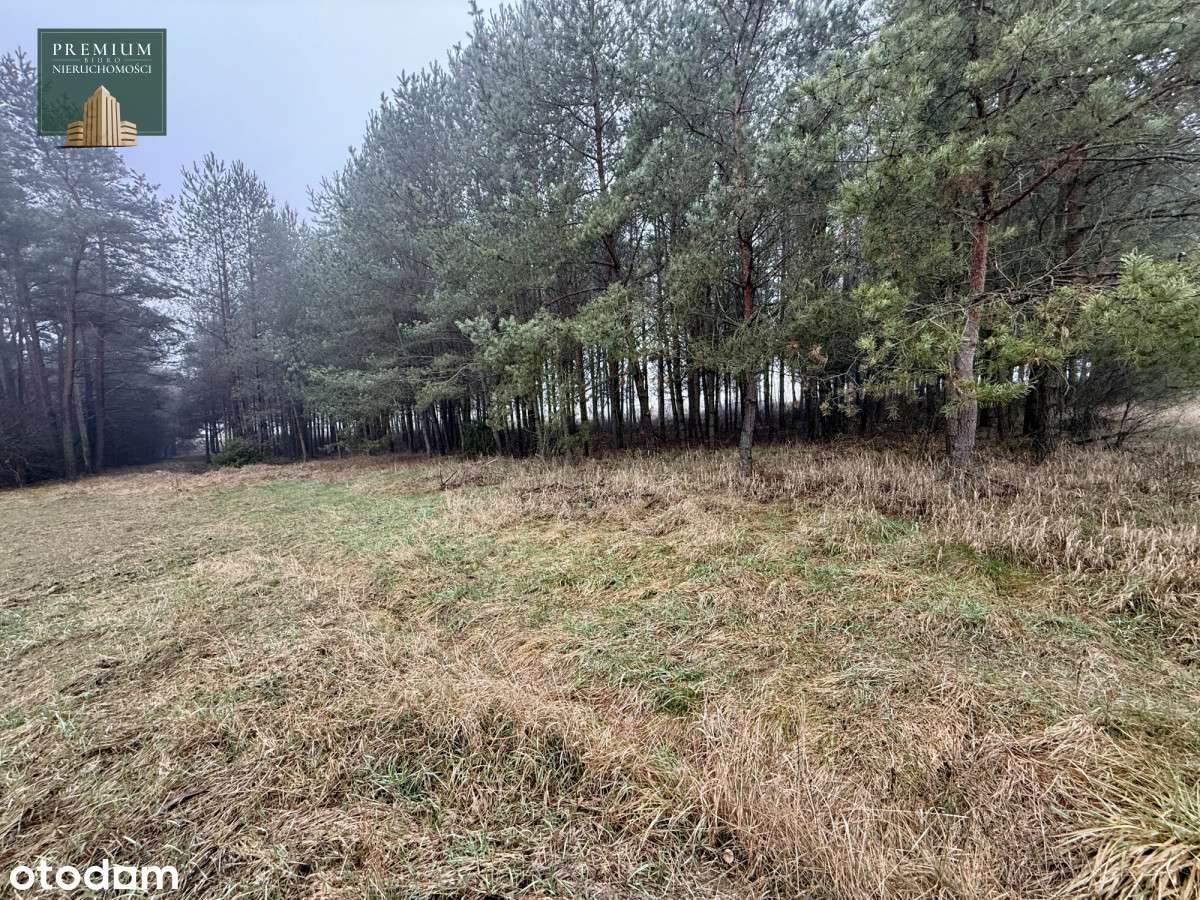 Działki Budowlane-Protasy - Pełny obrazek: 5/20