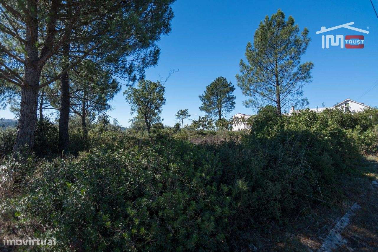 Terreno para construção - Grande imagem: 2/8