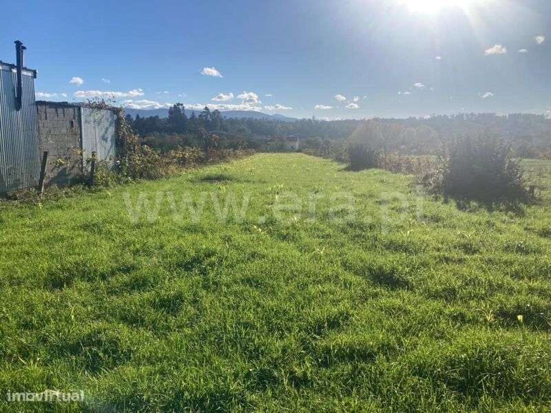 Terreno Rústico / Seia, Seia, São Romão e Lapa dos Dinheiros - Grande imagem: 4/5