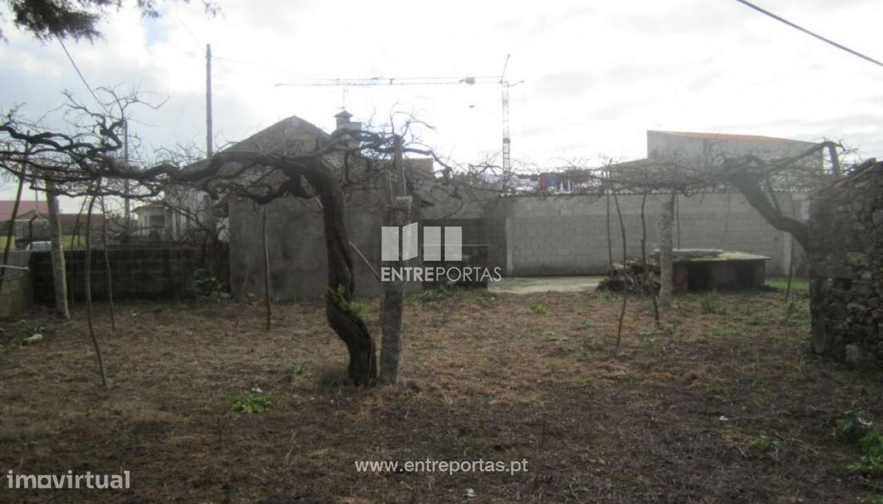 Venda de Terreno com viabilidade de construção,Estela,Póvoa de Varz - Grande imagem: 5/5