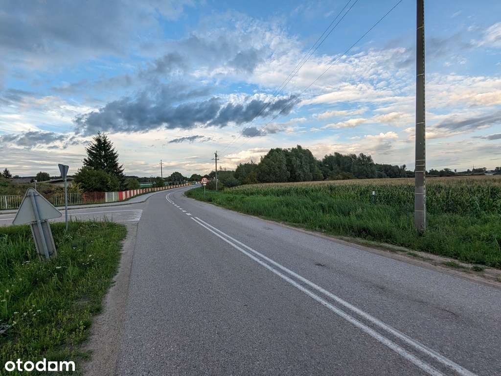 10 ha pod Elblągiem, przy S7 pod handel i usługi - Pełny obrazek: 5/5