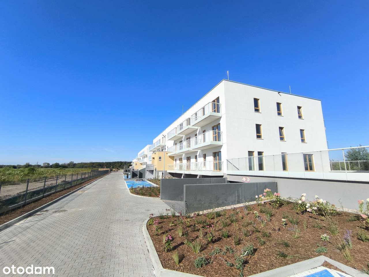 Ostatnia kawalerka w bloku, cicha okolica, obok lasu - Pełny obrazek: 3/8