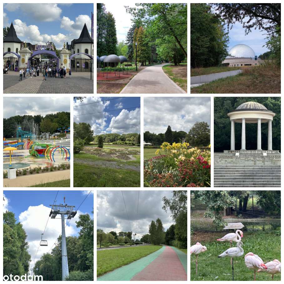 3 pokojowe w sąsiedztwie Parku Ślaskiego-17