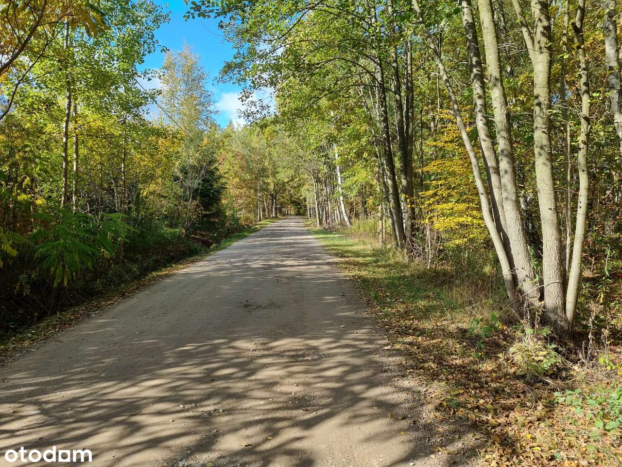 Działka budowlana przy lesie z WZ, woda, prąd, urokliwe otoczonie-4