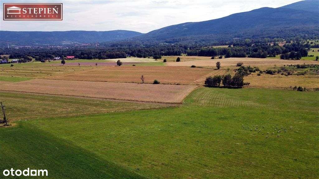 Działka, 45 140 m², Kostrzyca - Pełny obrazek: 5/7