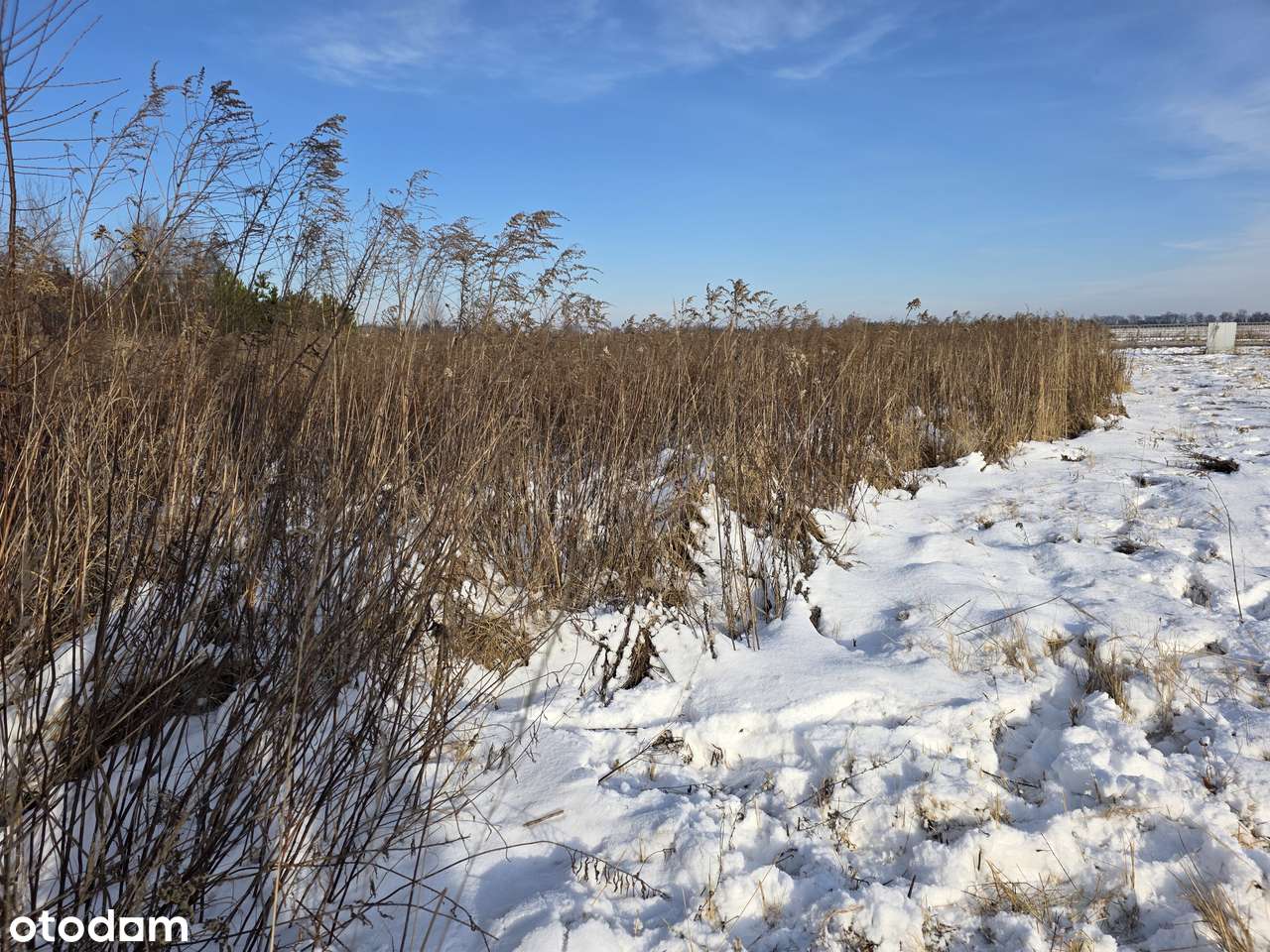 Gm. Niemce_10 minut do Lublina_MPK_ścieżka rowerowa_lasy kozłowieckie-3