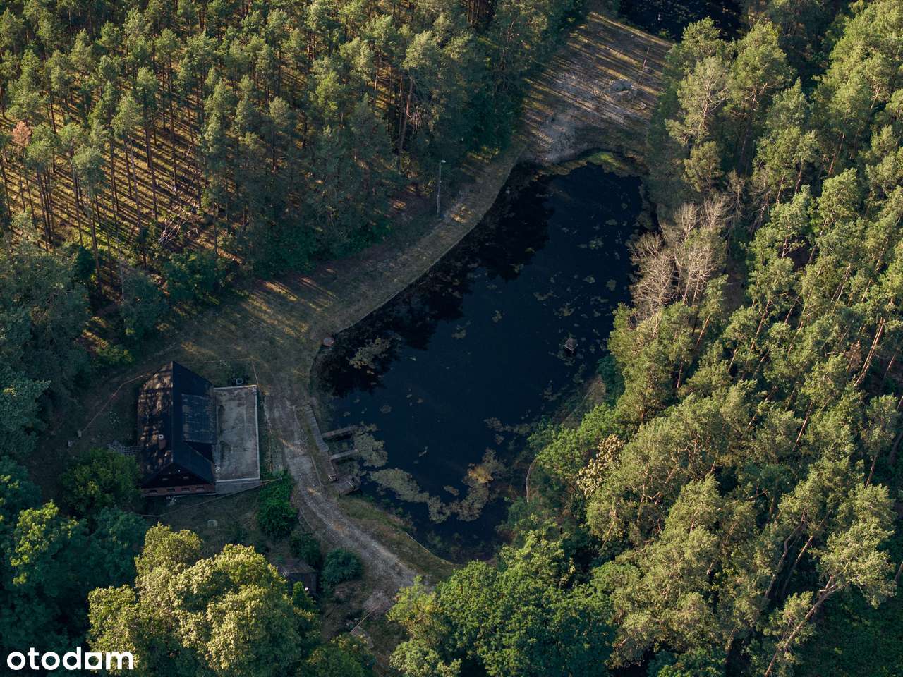 Działka z duszą, gotowa na Twój własny pomysł, Puszcza Notecka, stawy - Pełny obrazek: 4/20