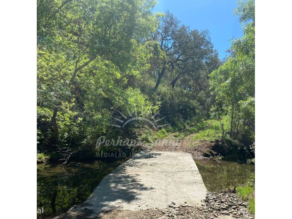 Propriedade Rústica de Montado com Ribeira | 22,6 Hectares | Serra ...-5