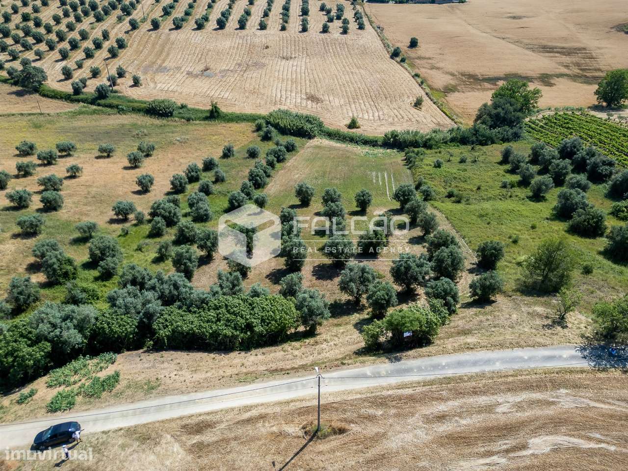 Terreno Rústico  Venda em Casével e Vaqueiros,Santarém - Grande imagem: 4/39