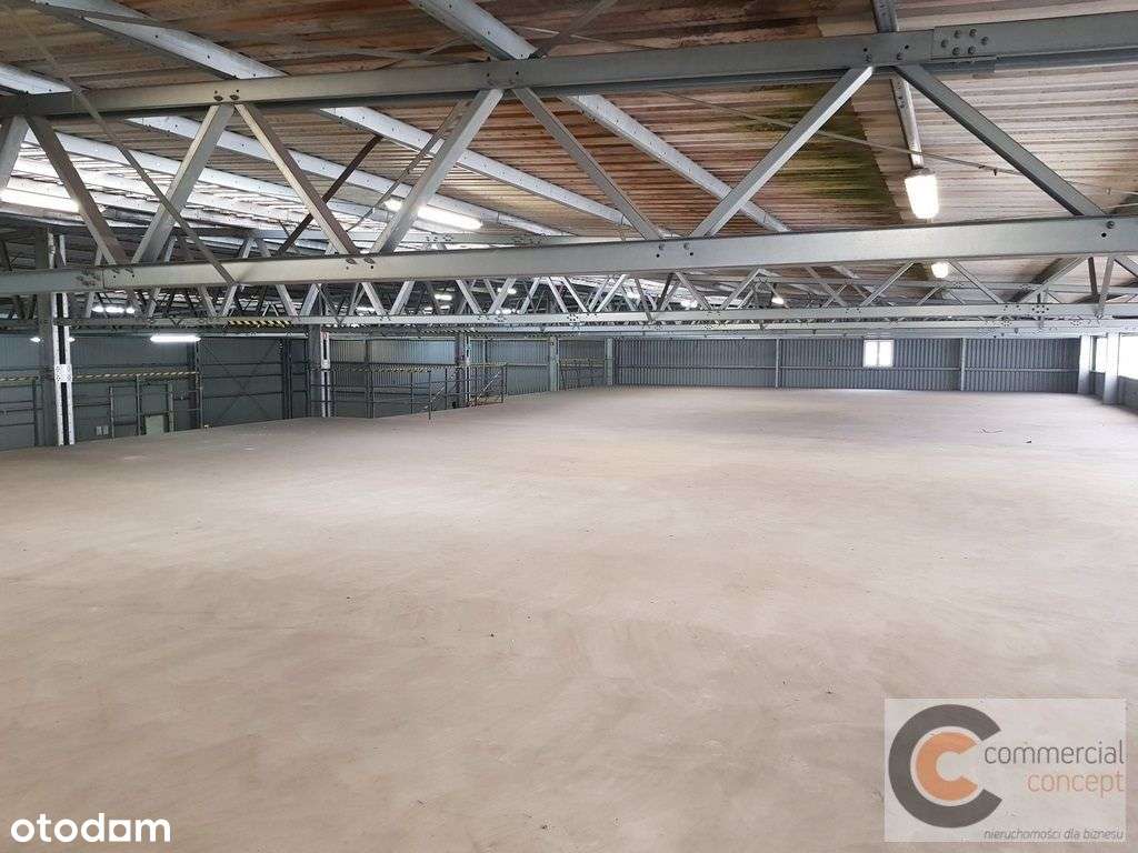 Magazyn w pobliżu Parku Handlowego Zakopianka - Pełny obrazek: 4/7