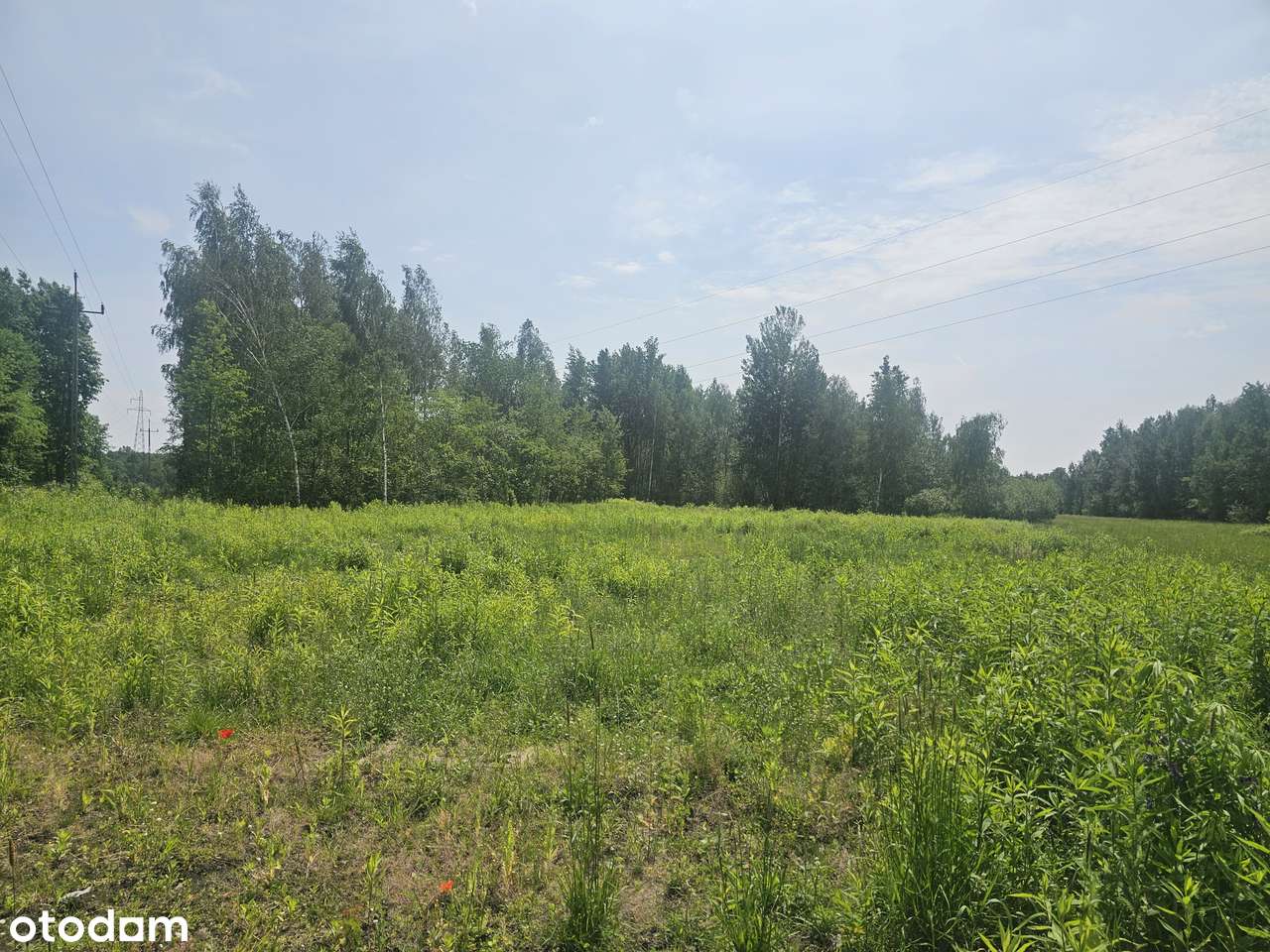 Blisko trasy S17. Uchwalony MPZP - USŁUGI / PRZEMYSŁ. Brak sąsiadów-5