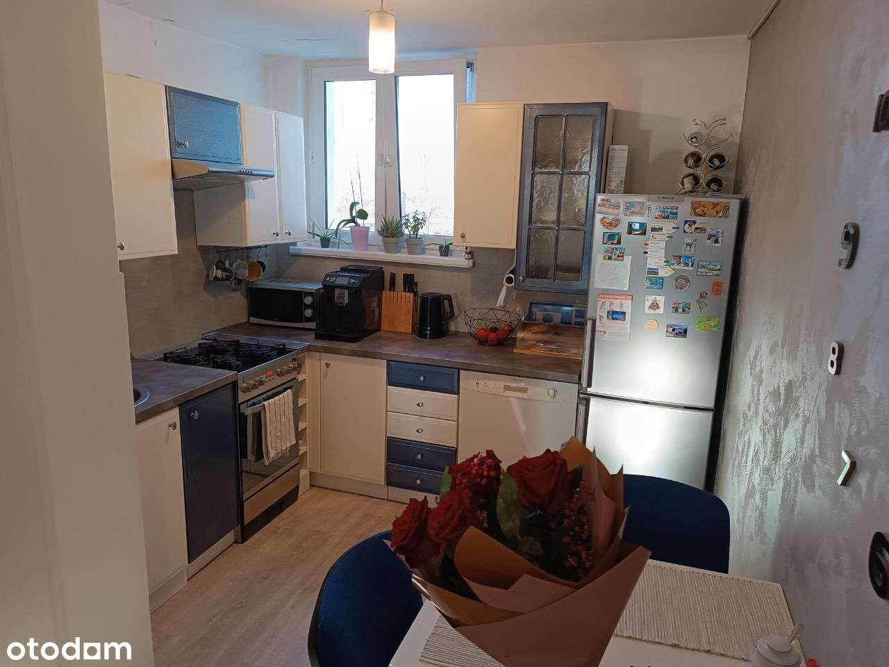 Przestronne M - 4 w Centrum - Pełny obrazek: 2/13