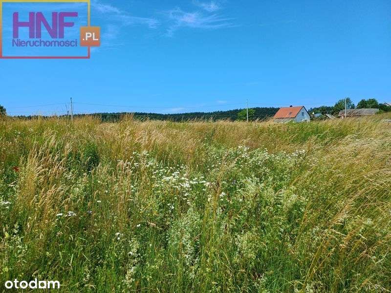 Działka 7,64ar Paszyn - Pełny obrazek: 5/9