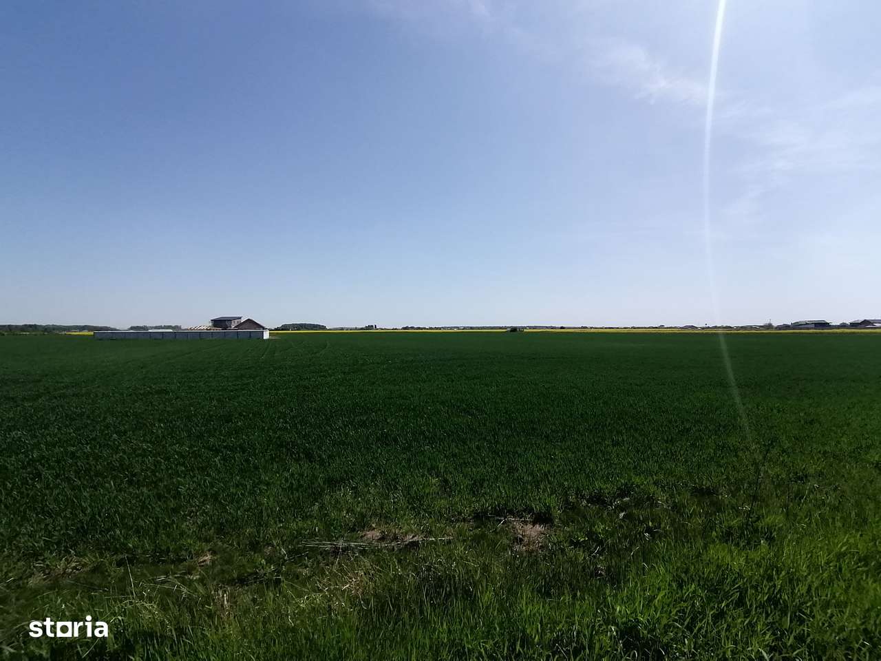 Teren intravilan 9313 mp in comuna 1 Decembrie - Ilfov - Imagine principală: 3/4