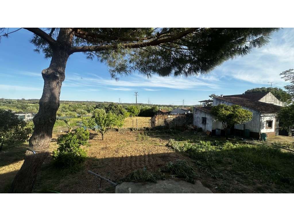Vendese Quinta com Casa T4, Adega, Lagar e Terreno com Árvores de F...-41