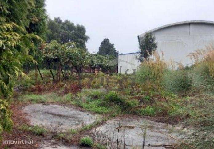 Armazém Santa Maria de Lamas - Grande imagem: 4/23