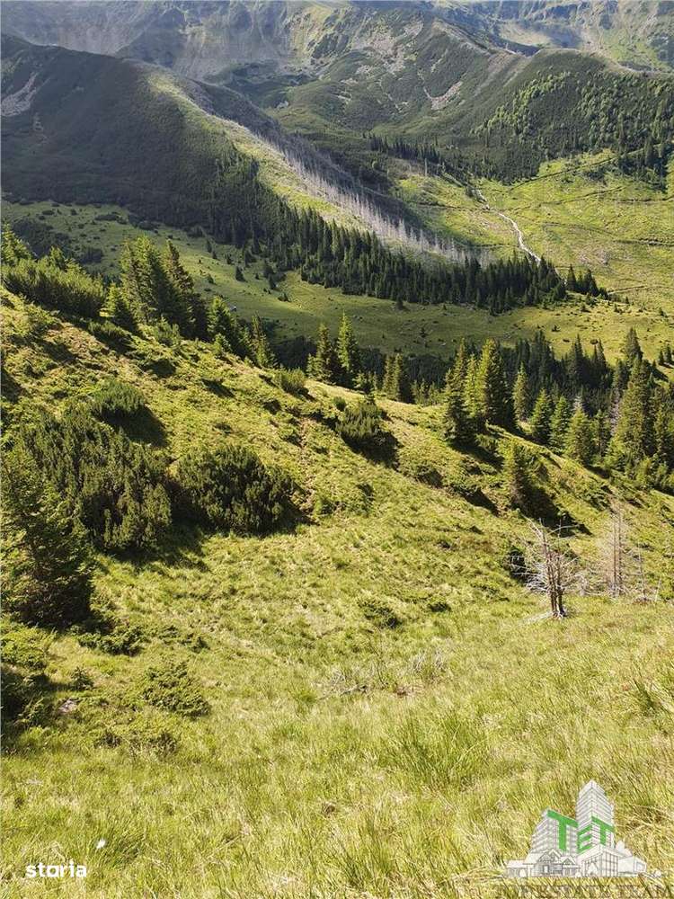 SUPER OPORTUNITATE, DE VANZARE O PROPRIETATE SPECIALA, MUNTELE VARFUL - Imagine principală: 5/20