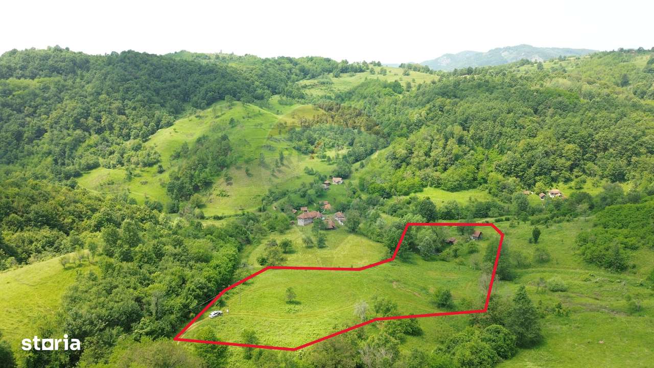 Teren intravilan de vis în Munții Apuseni, curent + izvor – 13.811 mp - Imagine principală: 1/18