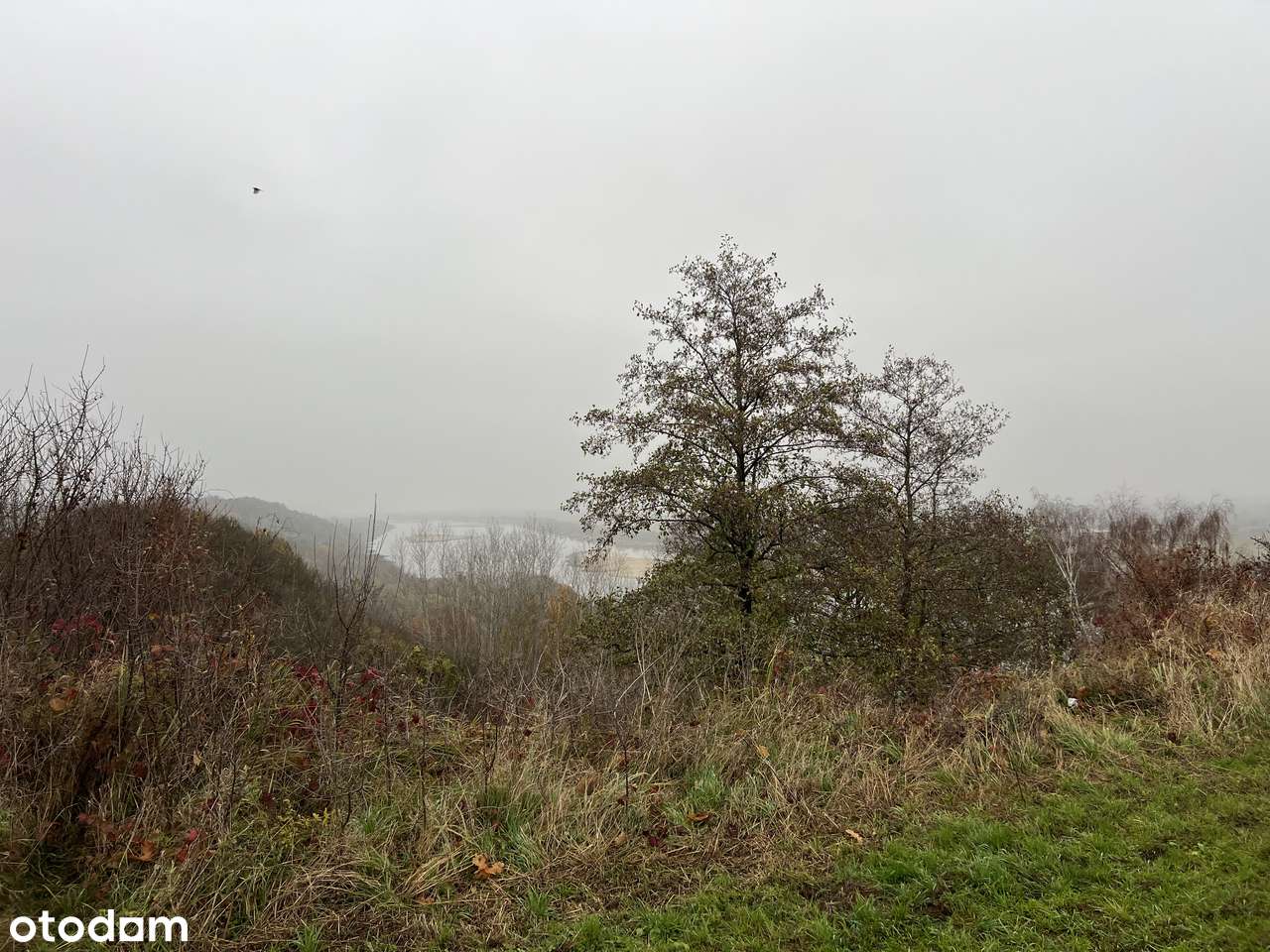 Działka pod inwestycję dla dewelopera-2