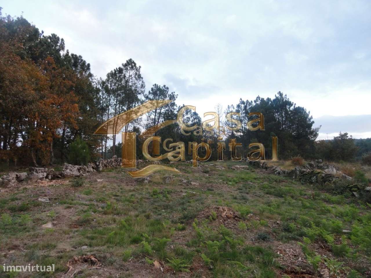 Terreno rústico - Grande imagem: 3/13