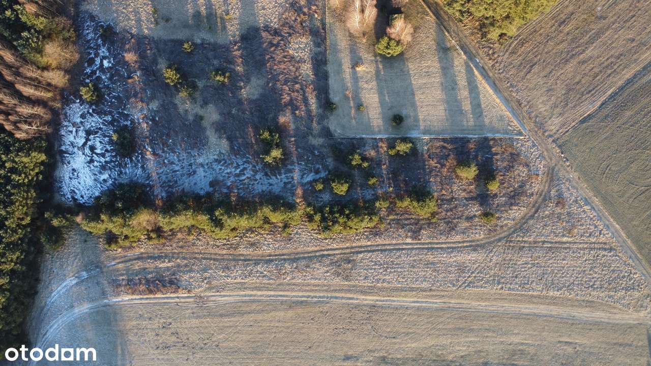 Działka rolna przy lesie  9893 m², Postolin k. Milicza-2