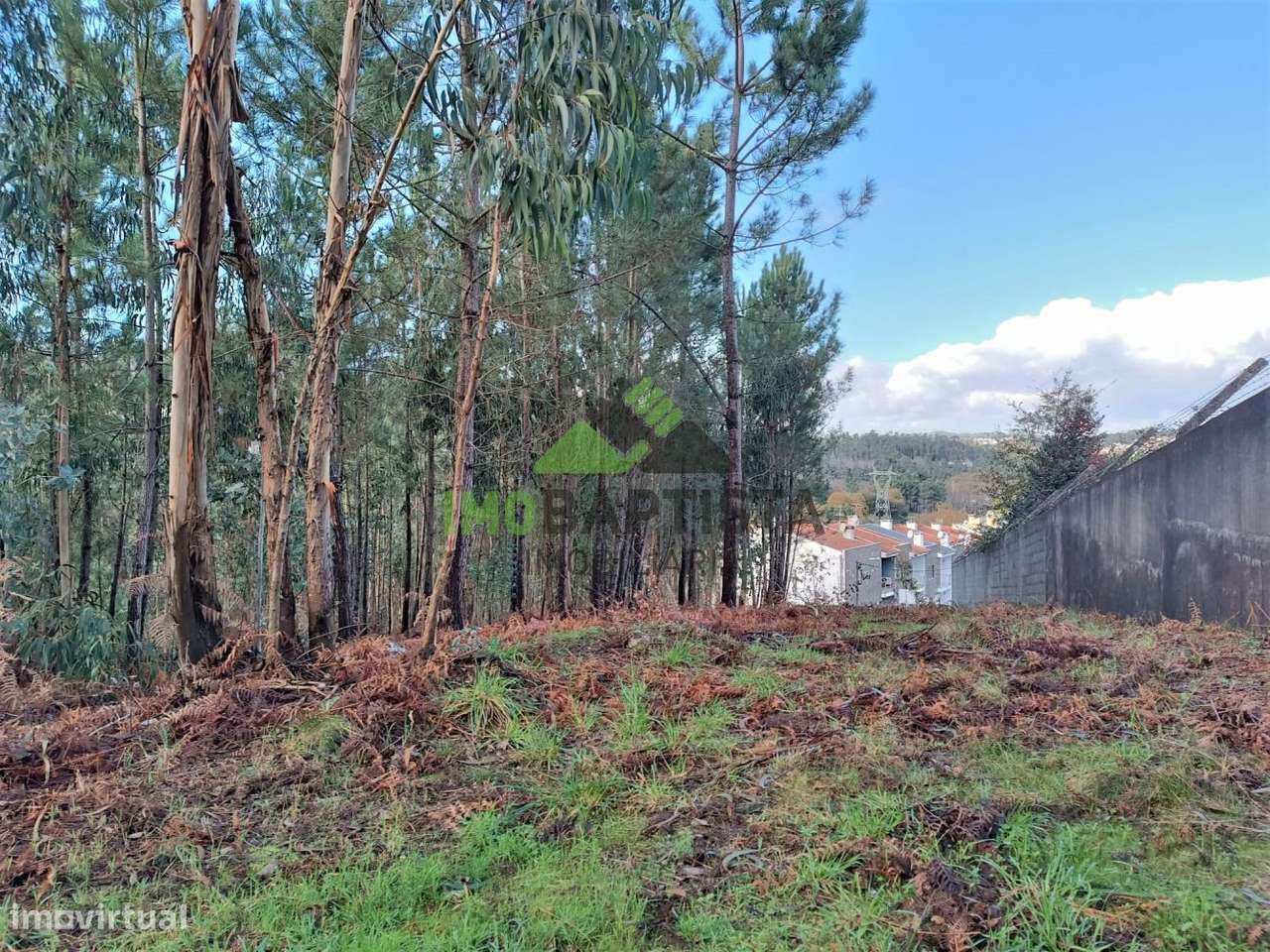 Terreno c/ 7440 m2 em Vila Maior - Grande imagem: 5/11