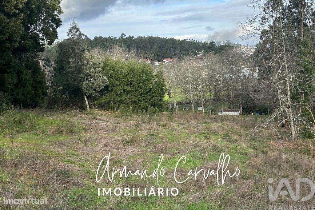 Terreno para construção em Lobão, Gião, Louredo e Guisande - Grande imagem: 4/6