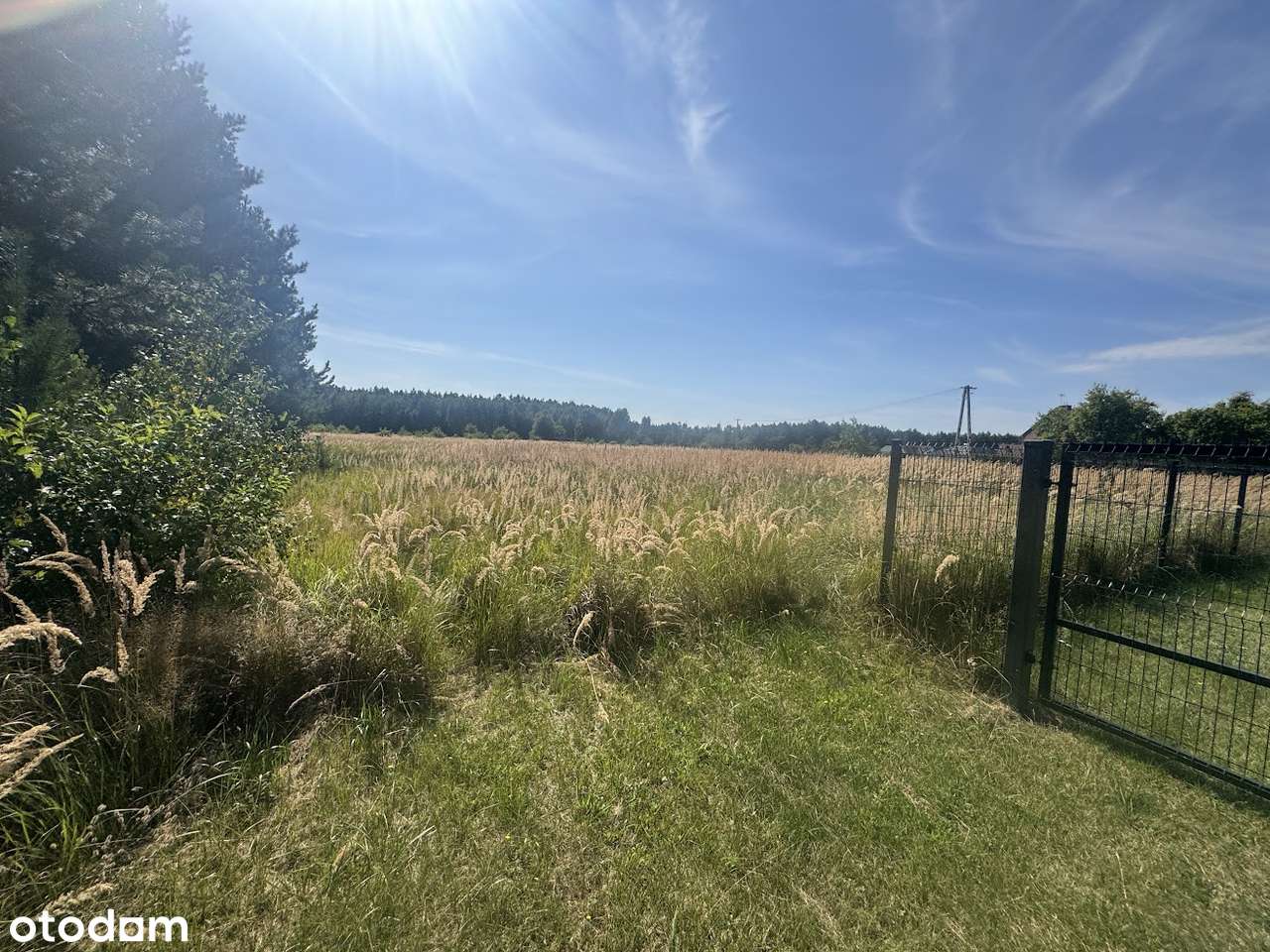 Wierzyce Osiedle Akacjowe - przy lesie-11