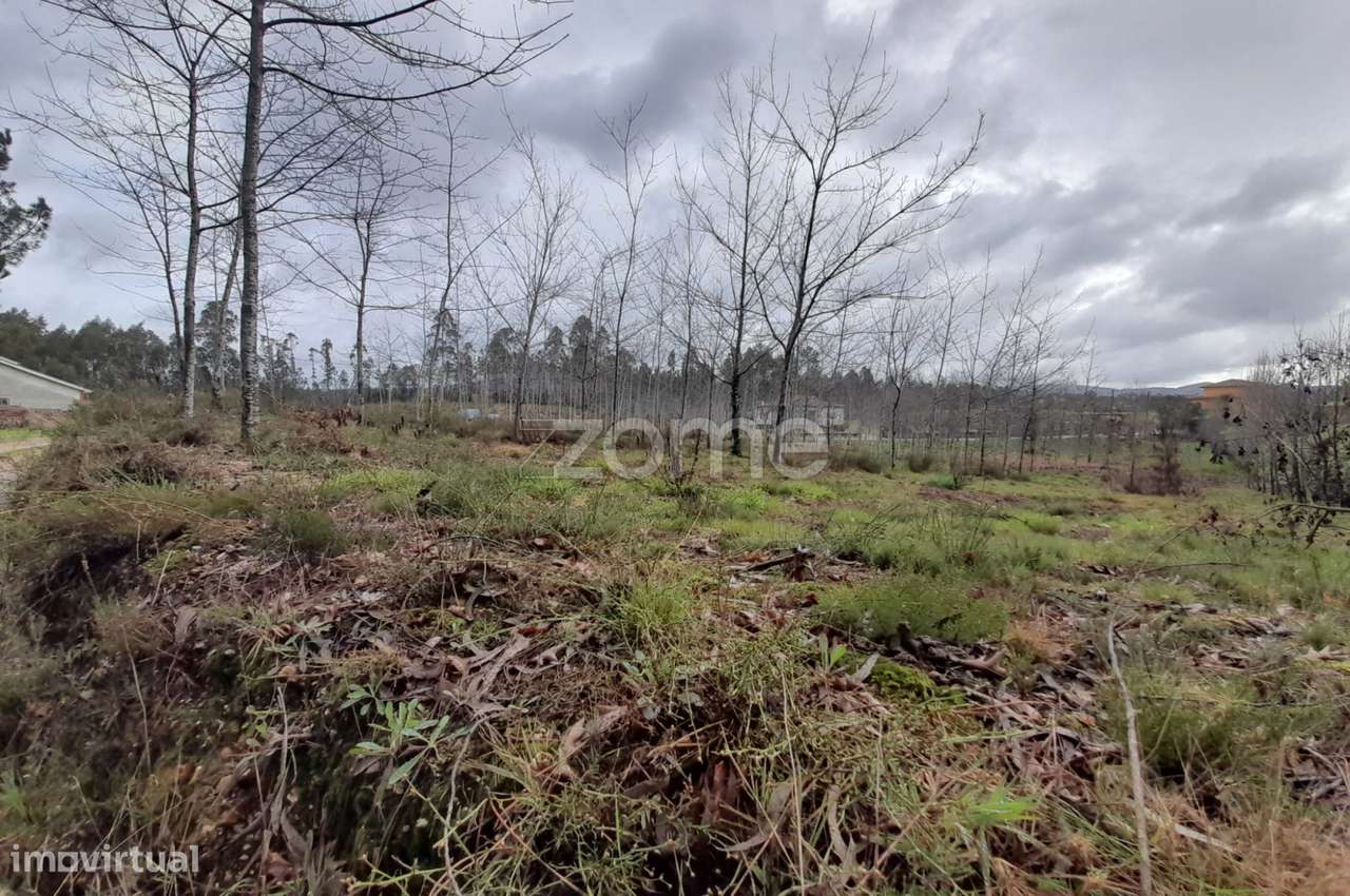 Terreno para construção com 5400m2 - Grande imagem: 4/18